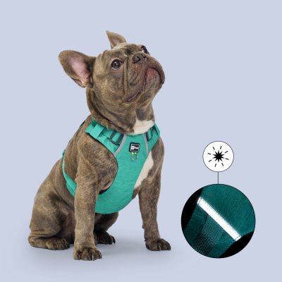 HiPet Шлейка для собак Ultralight, M, обхват шеи 44-54 см, обхват груди 52-65 см, зеленый