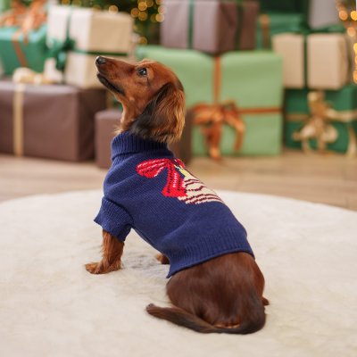 Petmax Свитер для кошек и собак Елочный шар, XS, синий