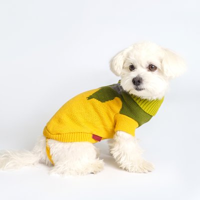 Petmax Свитер для кошек и собак, M, горчичный