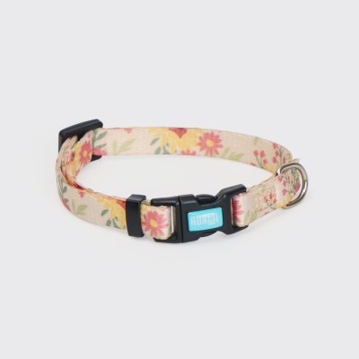 RURRI Ошейник для собак Лето, обхват шеи 30-45 см, ширина 1,5 см