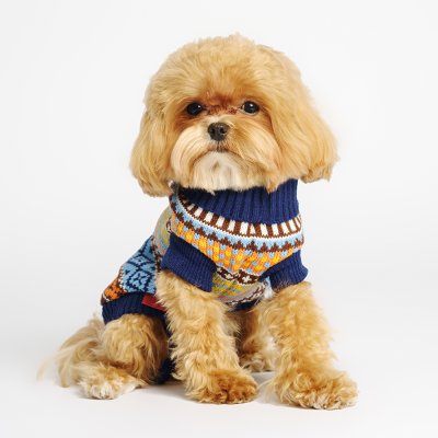 Petmax Свитер с узорами для кошек и собак, XS, разноцветный