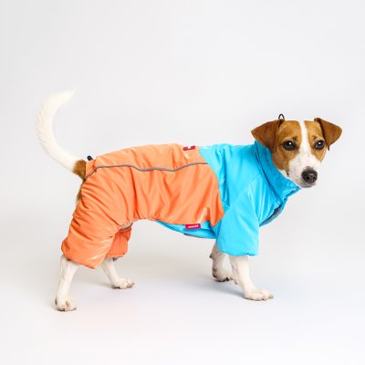 Petmax Комбинезон для собак, XL, сине-оранжевый