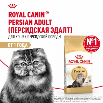 Сухие корма Royal Canin Корм сухой сбалансированный для взрослых персидских кошек от 12 месяцев, Persian Adult (400 г)