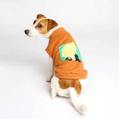 Petmax Толстовка с медведем для кошек и собак, 3XL, коричневый