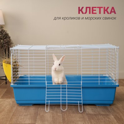 Petmax Клетка для кроликов и морских свинок GUIDO, 79х46х43см
