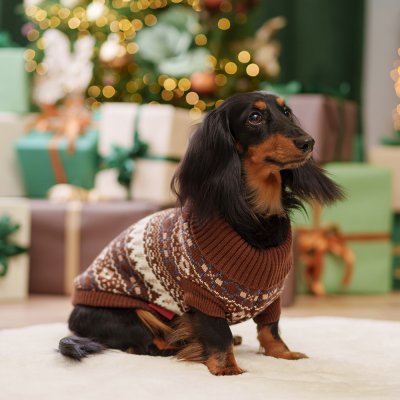 Petmax Свитер с узорами для кошек и собак, 2XL, коричневый