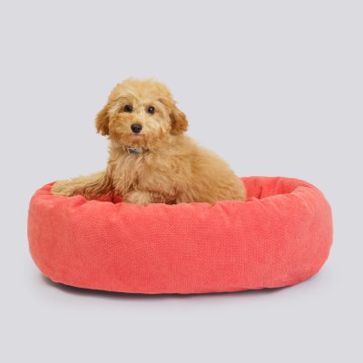 RURRI Лежанка овальная для кошек и собак мелких пород, 61х48х17 см, оранжевый